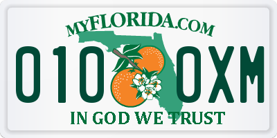 FL license plate 0100XM
