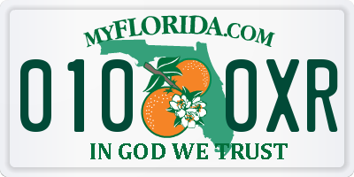 FL license plate 0100XR