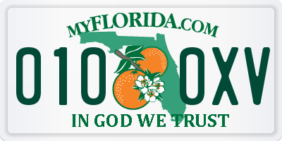 FL license plate 0100XV