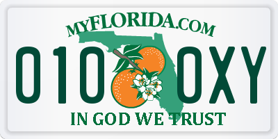 FL license plate 0100XY