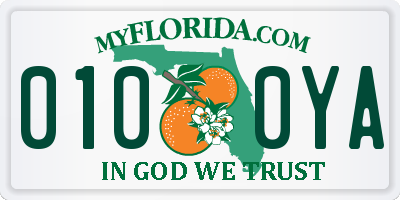 FL license plate 0100YA