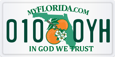 FL license plate 0100YH