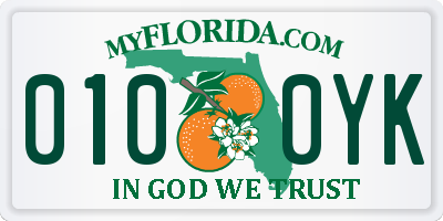 FL license plate 0100YK