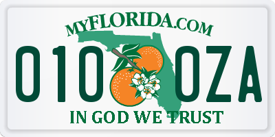 FL license plate 0100ZA