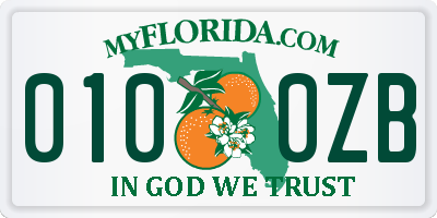 FL license plate 0100ZB