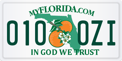 FL license plate 0100ZI