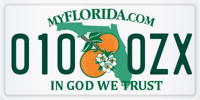 FL license plate 0100ZX