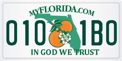FL license plate 0101BO