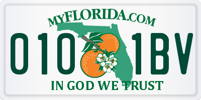 FL license plate 0101BV