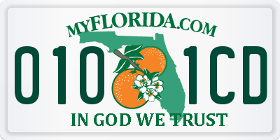FL license plate 0101CD