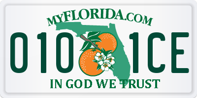 FL license plate 0101CE