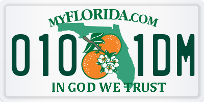 FL license plate 0101DM