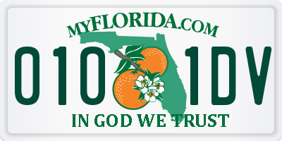 FL license plate 0101DV
