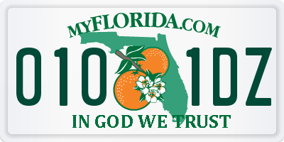 FL license plate 0101DZ