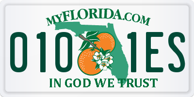 FL license plate 0101ES