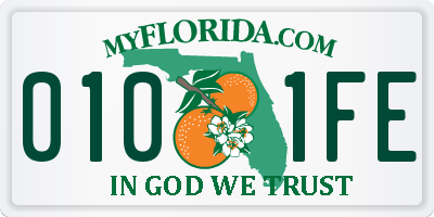 FL license plate 0101FE