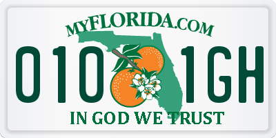 FL license plate 0101GH