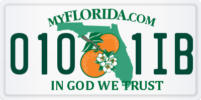 FL license plate 0101IB