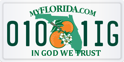 FL license plate 0101IG