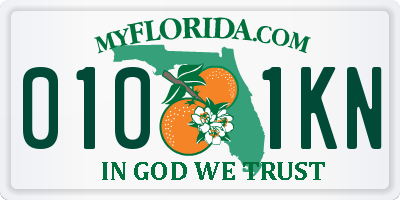 FL license plate 0101KN
