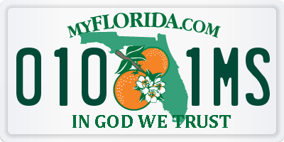 FL license plate 0101MS
