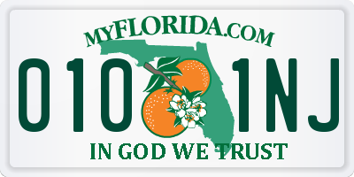FL license plate 0101NJ