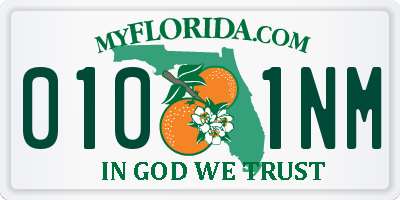 FL license plate 0101NM