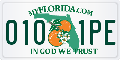 FL license plate 0101PE
