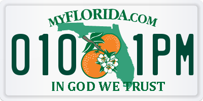 FL license plate 0101PM