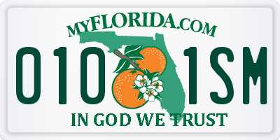 FL license plate 0101SM
