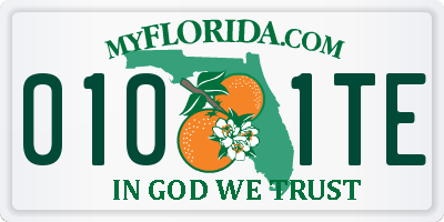 FL license plate 0101TE