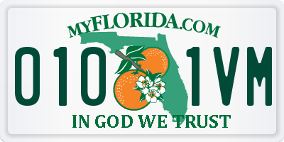FL license plate 0101VM