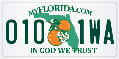 FL license plate 0101WA