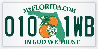 FL license plate 0101WB