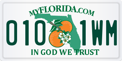 FL license plate 0101WM
