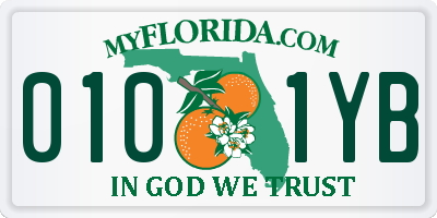 FL license plate 0101YB