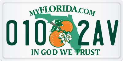 FL license plate 0102AV