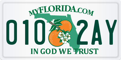 FL license plate 0102AY