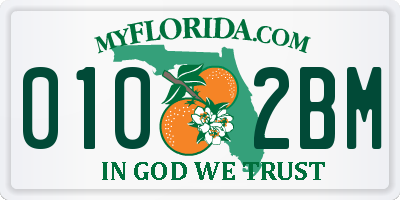 FL license plate 0102BM