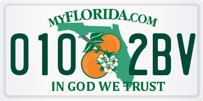 FL license plate 0102BV