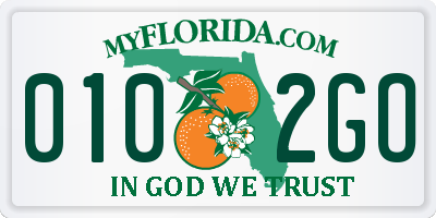 FL license plate 0102GO