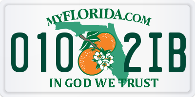 FL license plate 0102IB