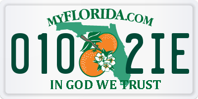 FL license plate 0102IE