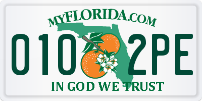 FL license plate 0102PE