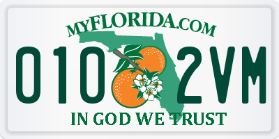 FL license plate 0102VM