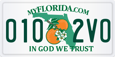 FL license plate 0102VO
