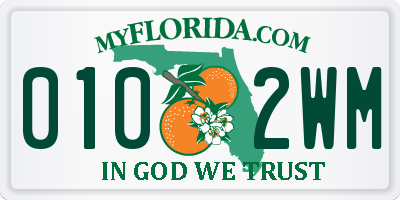 FL license plate 0102WM