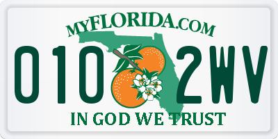 FL license plate 0102WV