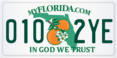 FL license plate 0102YE