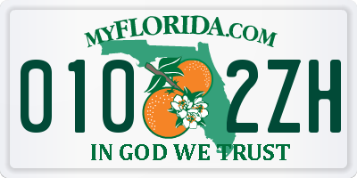 FL license plate 0102ZH